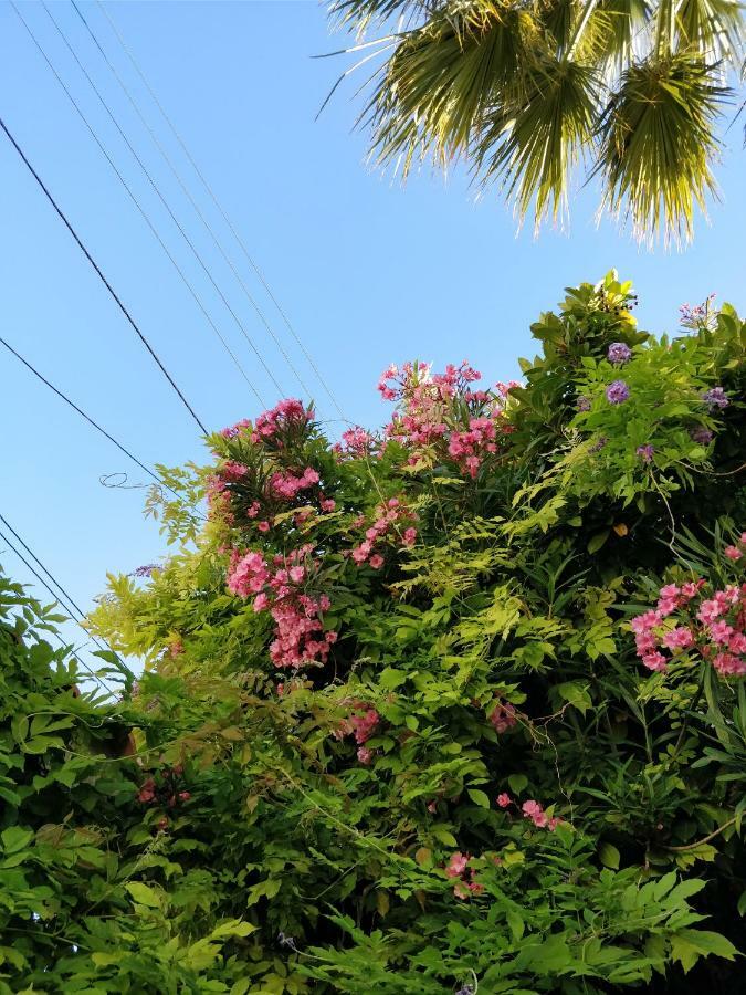La Palmeraie Marselha Exterior foto